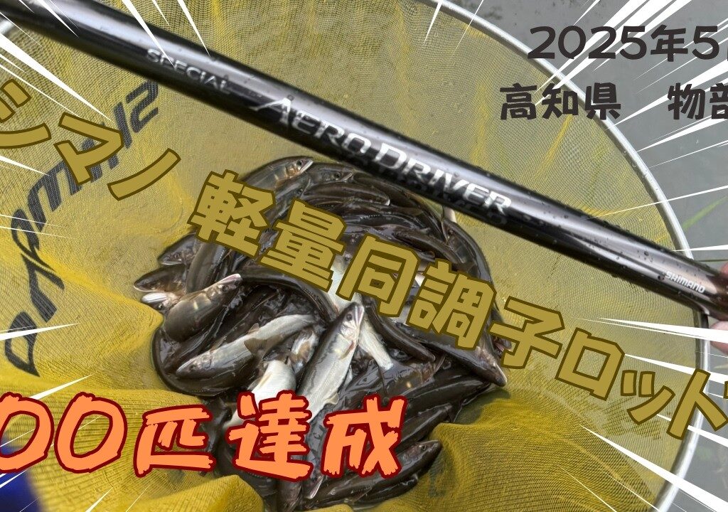 【2025 鮎釣り】新製品エアロドライバーで100匹釣り達成