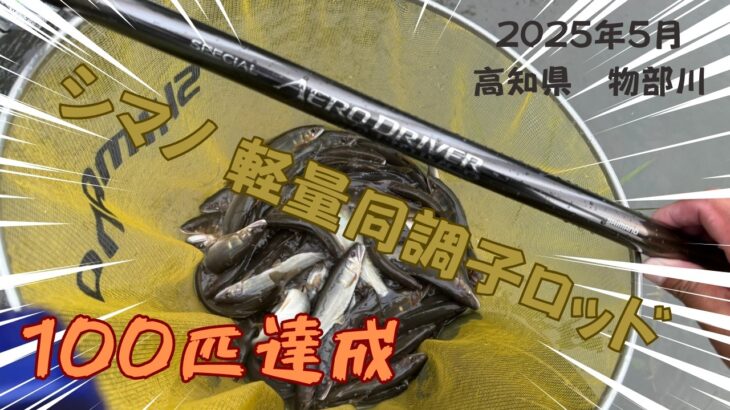 【2025 鮎釣り】新製品エアロドライバーで100匹釣り達成