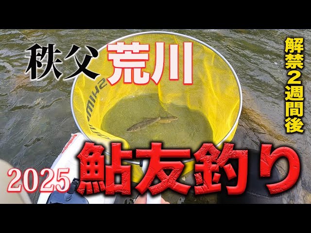 2025　秩父荒川アユ解禁（２週間後）釣行