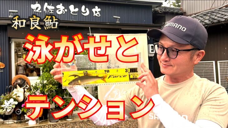 泳がせとテンションコントロールで和良鮎攻略！【鮎釣り2025】和良川特別解禁