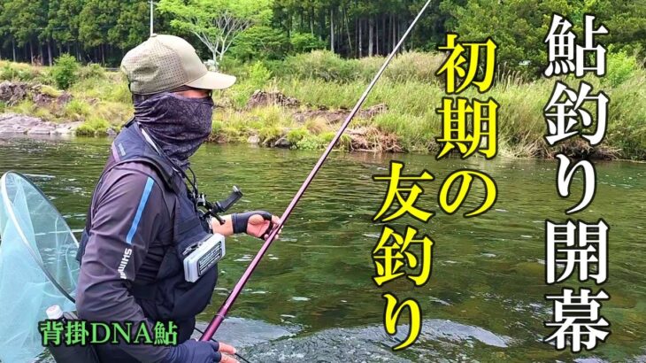 鮎釣り2025シーズン開幕　今シーズンもよろしくお願いいたします／三重県大内山川