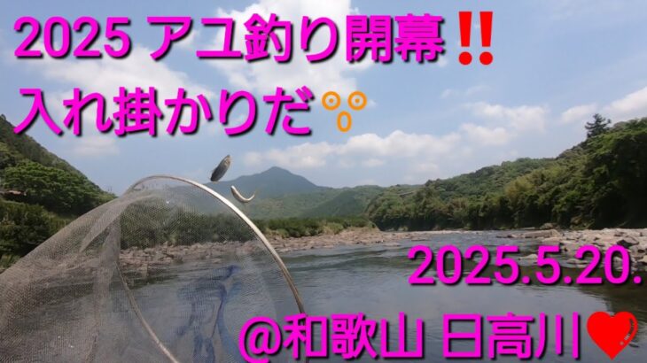 2025 アユ釣り解禁🎵　入れ掛かりスタート💕　@日高川（2025.5.20.）