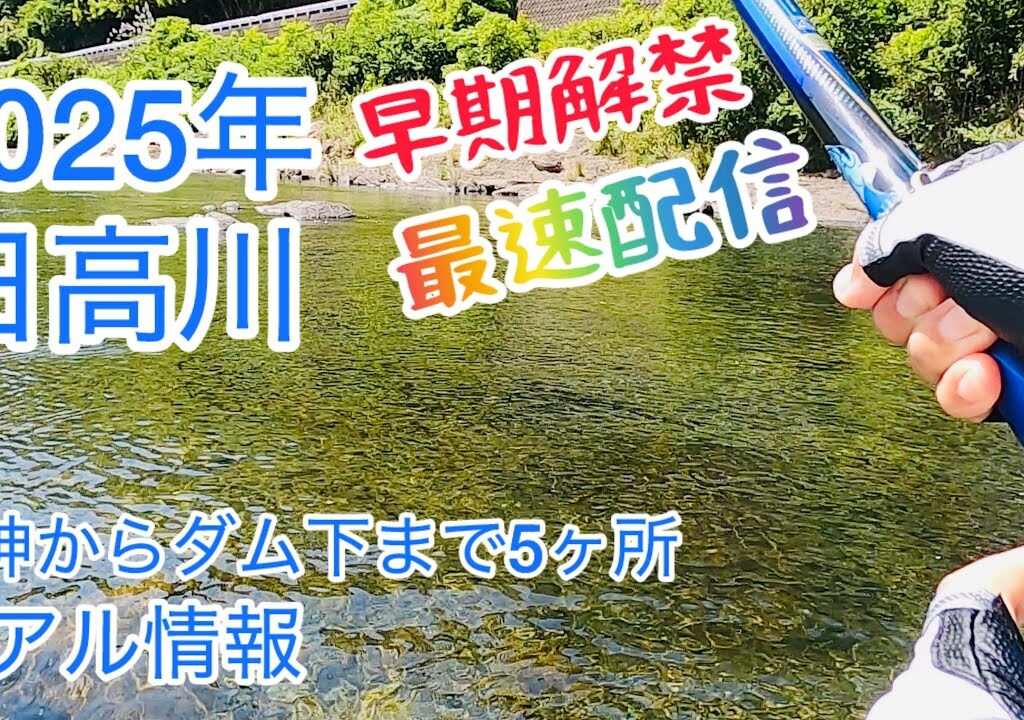 【鮎釣り】日高川　2025年早期解禁　龍神からダム下まで５ヶ所の真実　【友釣り】