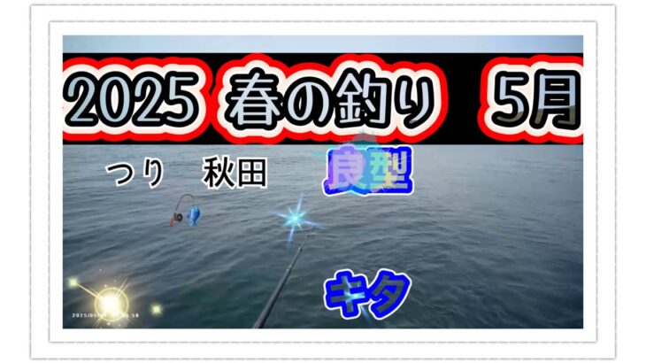 🎣【秋田釣り】2025 〈5月〉良型！！到来