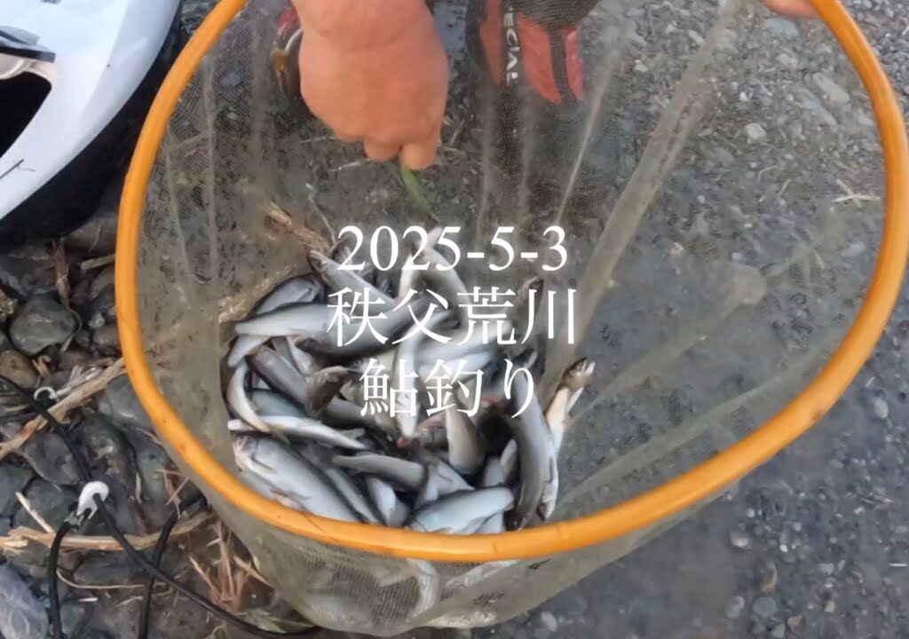 2025-5-3 秩父荒川　鮎釣り