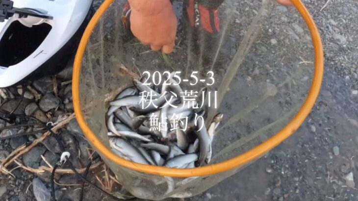 2025-5-3 秩父荒川　鮎釣り