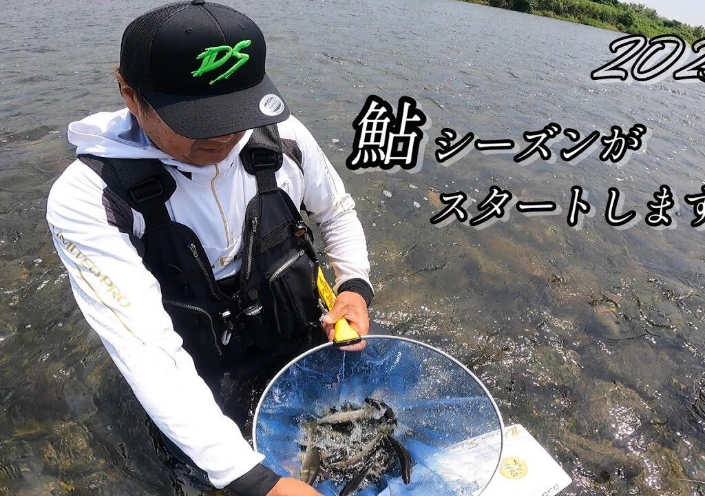 【2025鮎釣り】今年も鮎シーズがスタートしますね