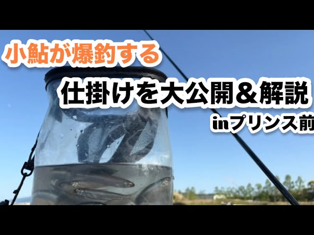 【小鮎釣り】2025年プリンスホテル前小鮎釣りで爆釣する仕掛けを大公開＆ロッド紹介‼️