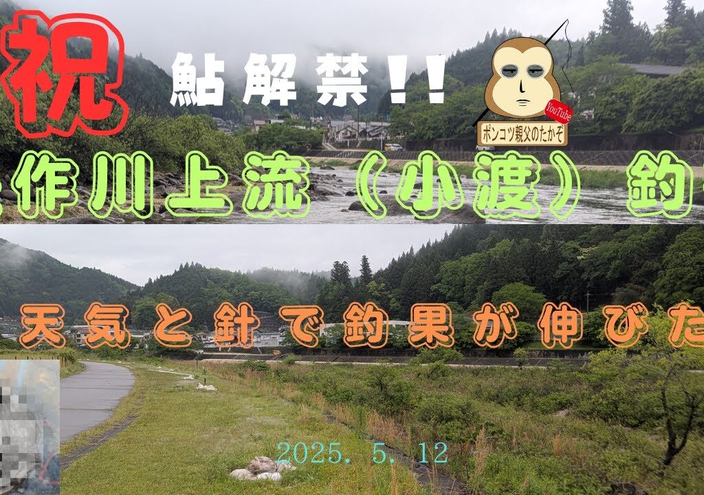 「鮎の友釣り」＃2025鮎釣り　＃あゆ　#鮎　#入れ掛かり