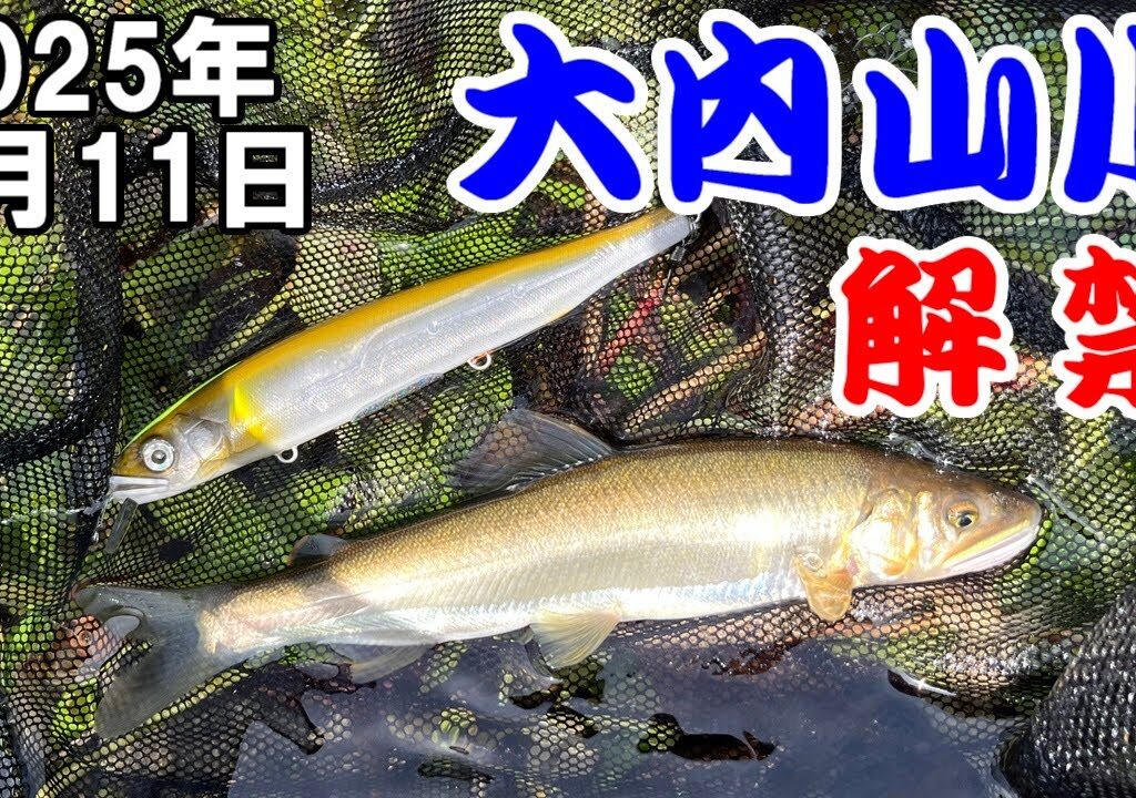 【アユイング】2025年鮎釣りの解禁に行ってきました【大内山川】