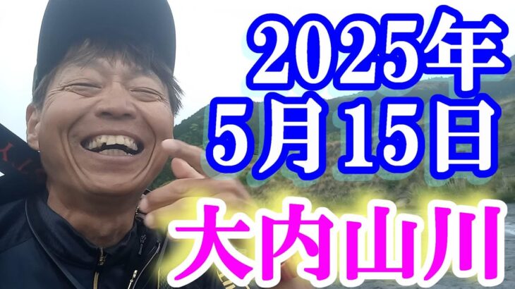 鮎釣り 平水垢腐れ ひこ瀬 新宮前橋 おとべ 大内山川 2025年 背掛かりDNAを釣る