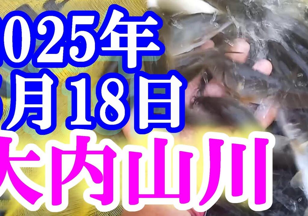 鮎釣り 平水垢腐れ 平瀬橋上 ひこ瀬 大内山川 2025年 背掛かりDNAを釣る