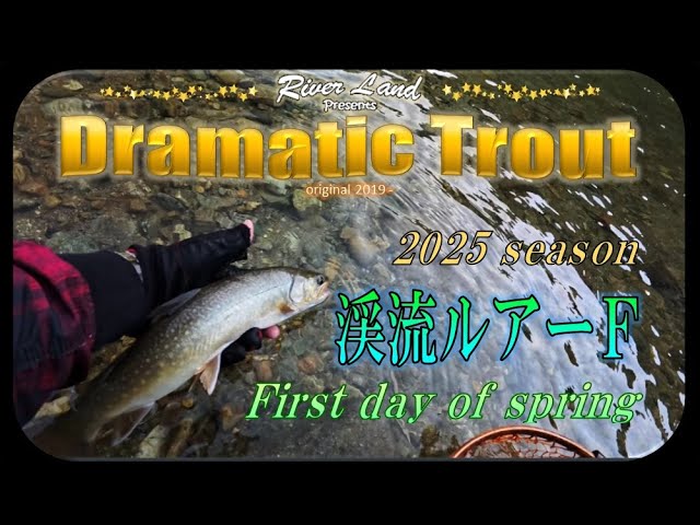 ドラマティックトラウト ～渓流ルアーＦ 2025シーズン初日 trout fishing japan