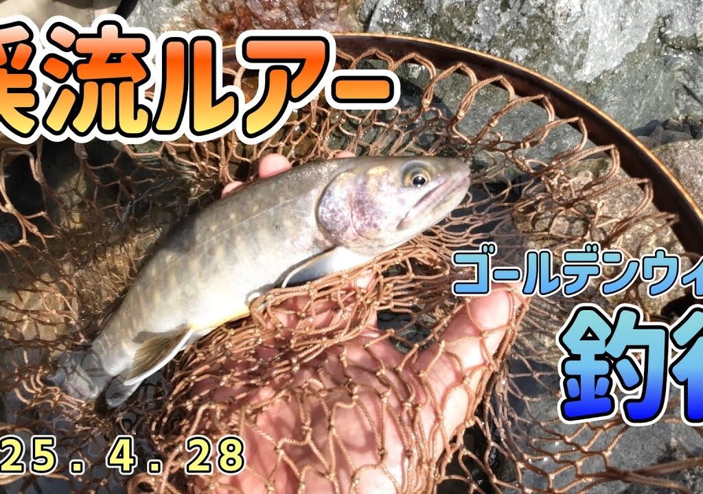 渓流釣り　渓流ミノー　庄川支流　2025.4.28