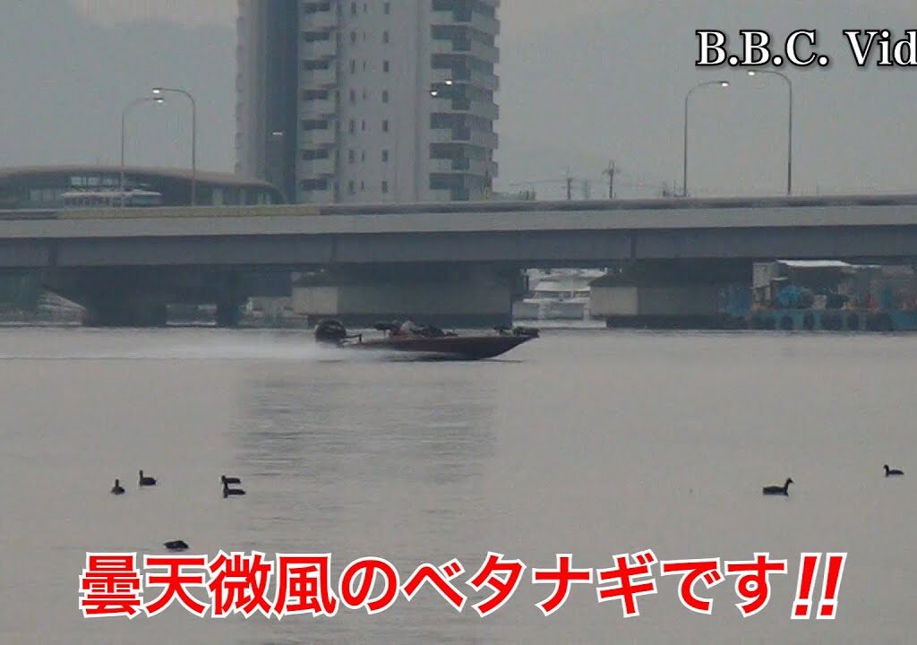 2025/05/16 金曜朝の真野浜から眺めた琵琶湖北湖は曇天微風のベタナギガラ空き!! #今日の琵琶湖