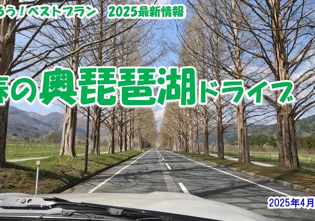 【春の奥琵琶湖ドライブ 】2025年4月16日