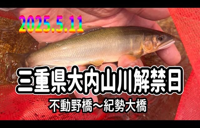 20255.11待ち侘びた鮎釣りシーズン開幕㊗️