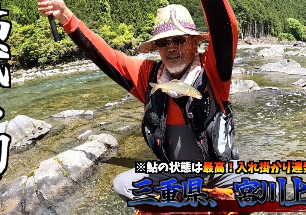 【三重県・宮川上流】2025年5月4日試し釣り速報！鮎だらけ！ヤル気満々鮎が飛びついて来る！！