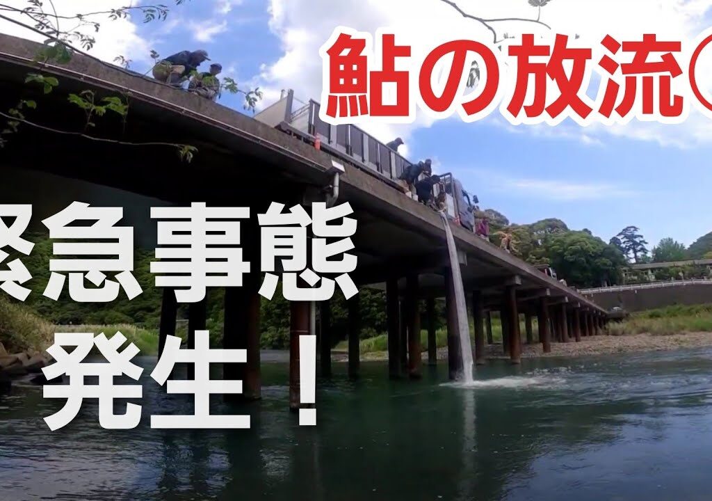 鮎の放流⑦　緊急事態が発生！　その時、組合長がとった判断は・・・2025年5月7日