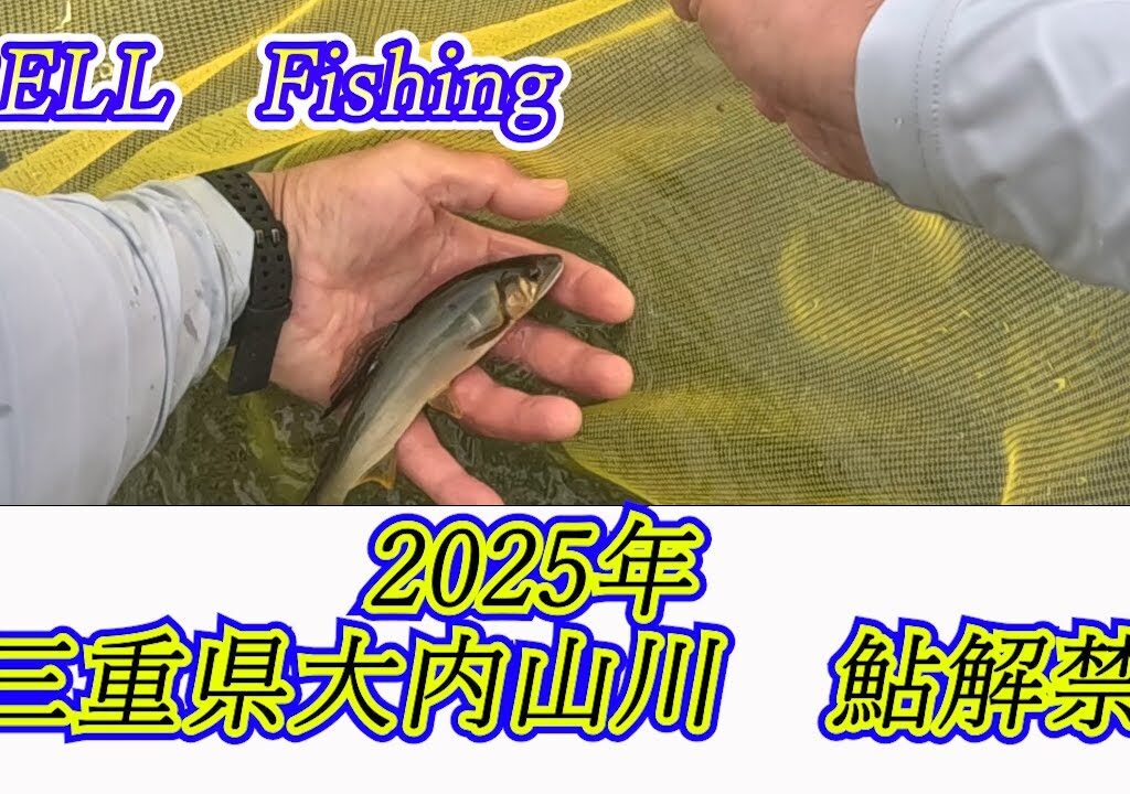 2025年5月大内山川鮎解禁　BELL　Fishing