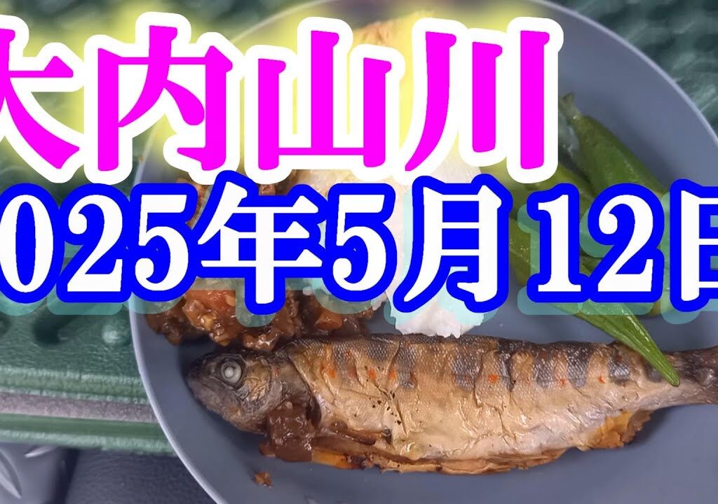 鮎釣り 20cm高引水垢良好 田垣外 伊良野橋下 岩船橋下 大内山川 2025年 背掛かりDNAを釣る
