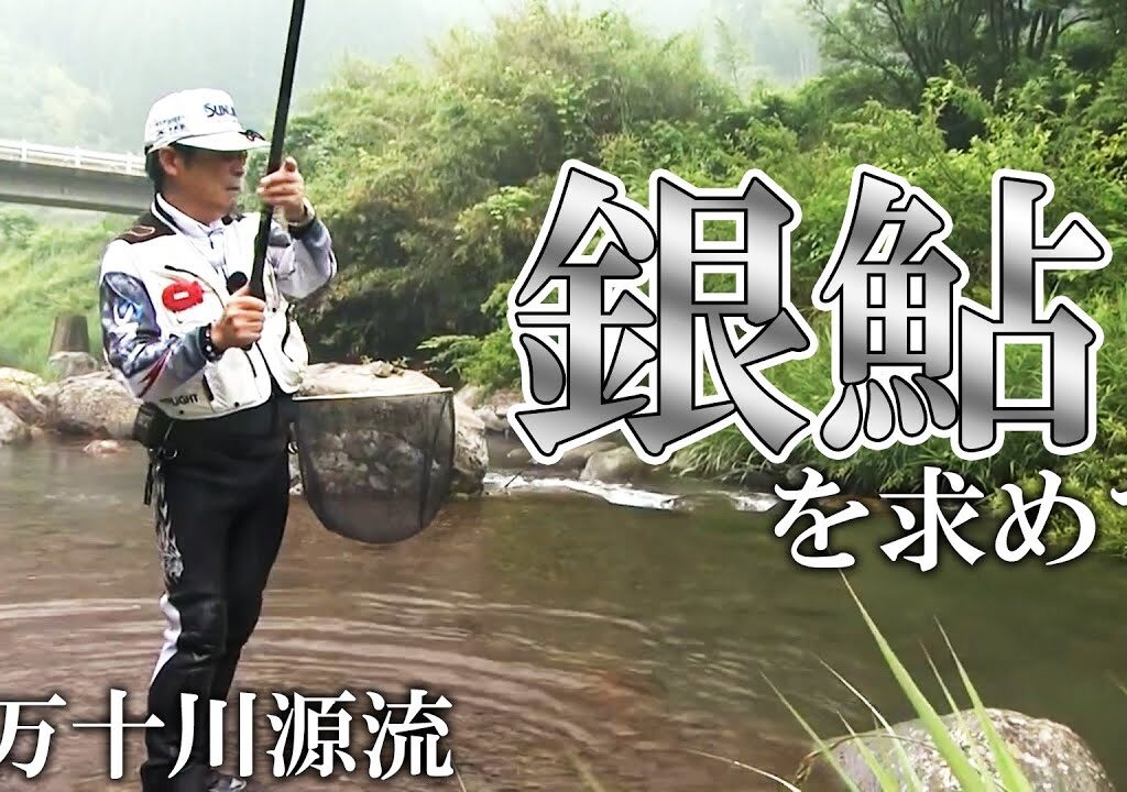 四万十川源流で狙う銀鮎、鬼才のアユ釣り 2/2 『伝心伝承 126』【釣りビジョン】