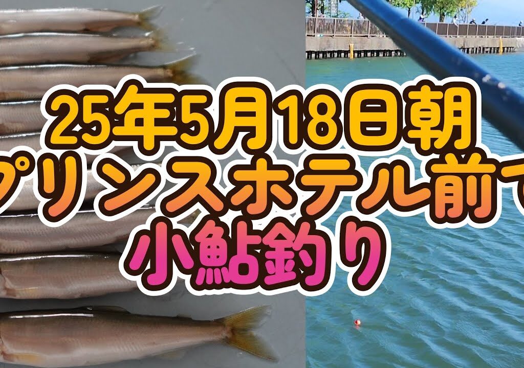 【小鮎釣り】25年5月18日 朝　琵琶湖畔大津プリンスホテル前で小鮎釣り今が小鮎釣り。最盛期で釣り人が多いです。水中映像で小鮎を撮影しようとチャレンジ。稚魚も掬いました。