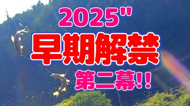 【鮎釣り】早期解禁第二弾!!　5月晴れの鮎釣り!!