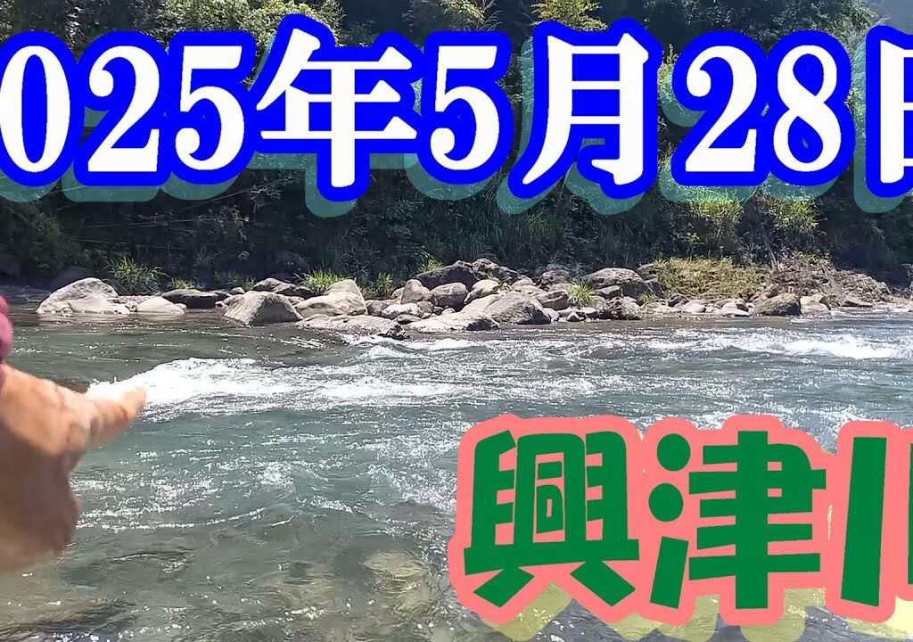 鮎釣り 引水垢無し残り垢狙い 清地 52号の橋 土村堰堤下 興津川 2025年