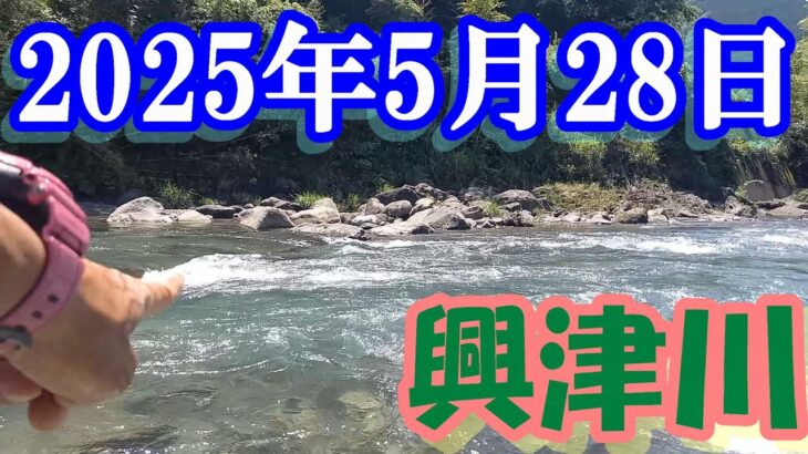 鮎釣り 引水垢無し残り垢狙い 清地 52号の橋 土村堰堤下 興津川 2025年