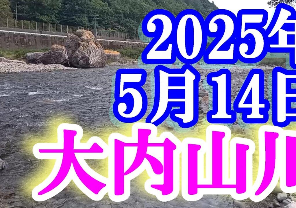 鮎釣り 5cm高垢腐れぎみ 石ぶり 大内山川 2025年 背掛かりDNAを釣る
