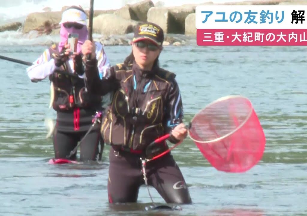 夜明けと共に釣り人が川へ…三重県大紀町の大内山川で“アユの友釣り”解禁 9m程ある長い竿で次々釣り上げる