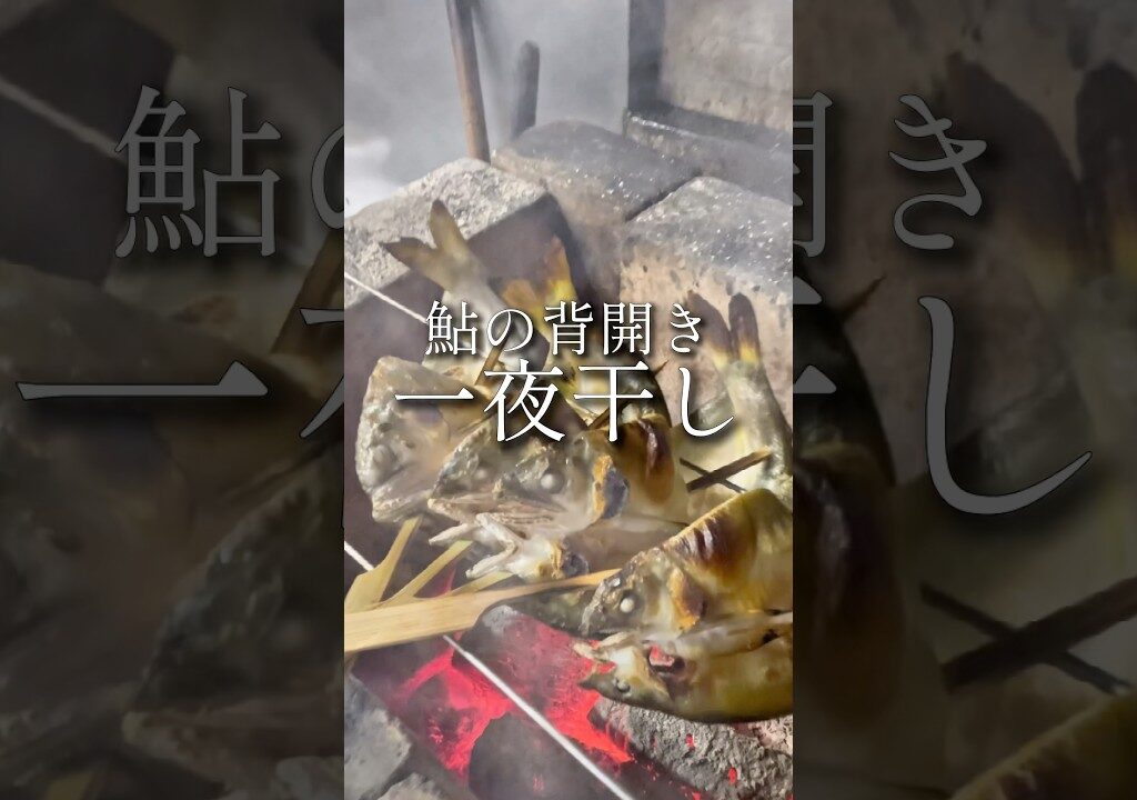 【プロの技】鮎を背開きして一夜干し『炭火で焼いたら旨すぎた』 #shorts #鮎 #魚の捌き方 #一夜干し #背開き#捌き職人#bbq