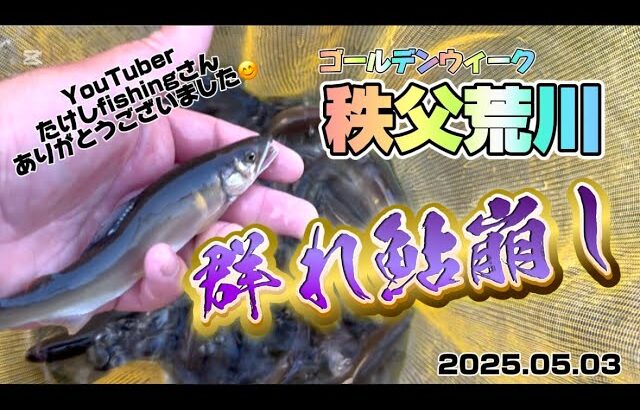 【秩父荒川】追加放流！？群鮎崩しで鮎の友釣り