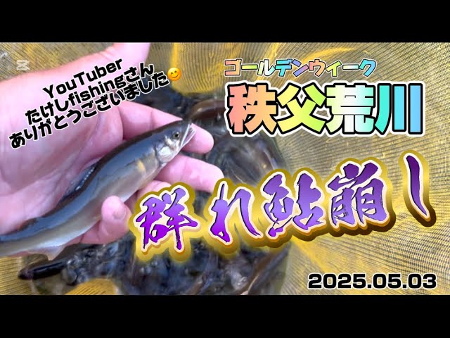 【秩父荒川】追加放流！？群鮎崩しで鮎の友釣り