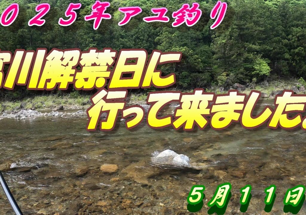 【宮川鮎釣り】解禁日釣行！前夜入りして頑張りました！＃鮎釣り＃２０２５年＃宮川＃解禁日釣行