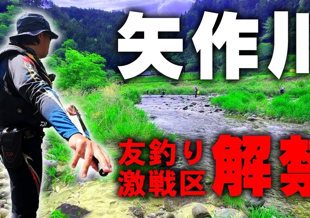 解禁初日に行ったらとんでもないことに…【おど地区 鮎釣り】