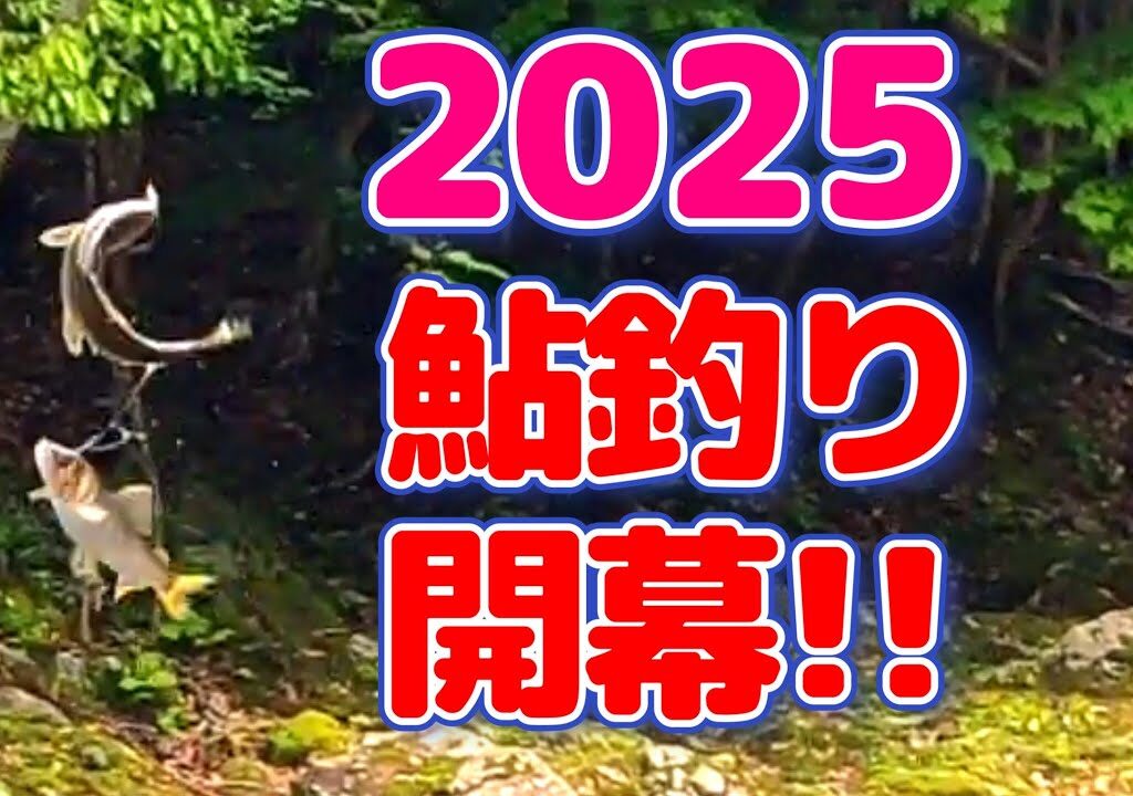 早くも解禁！日高川での鮎釣り！