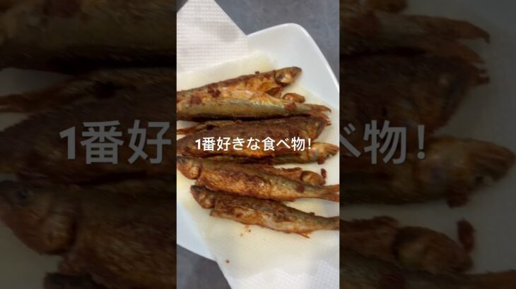鮎釣りの醍醐味鮎の唐揚げ#鮎釣り #鮎　#琵琶湖