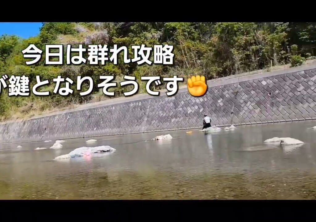 秩父、日本一早い鮎釣り解禁。今年の初鮎は秩父から✨
