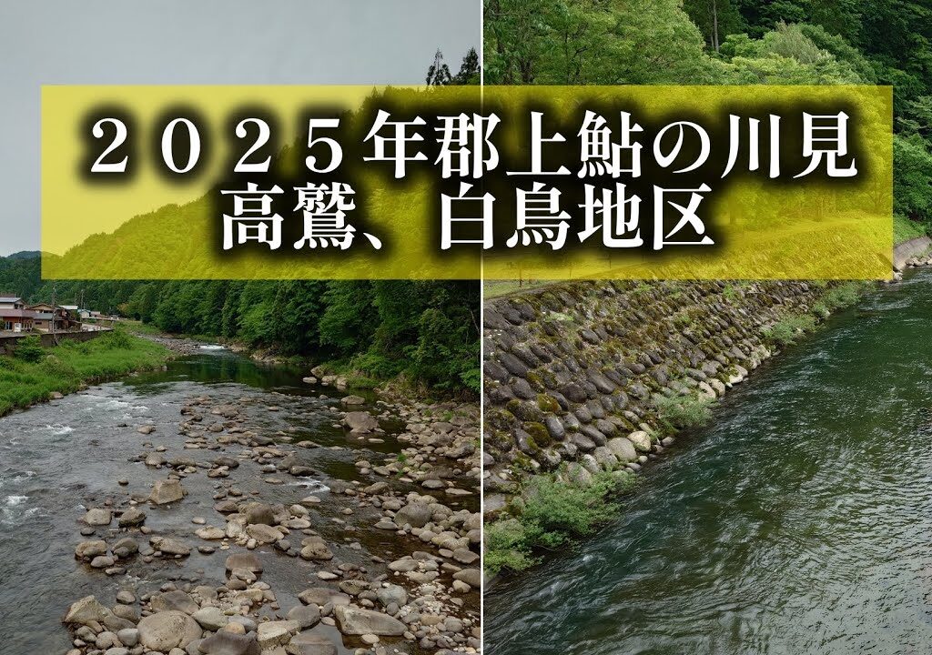 ２０２５年郡上鮎の川見　高鷲、白鳥地区
