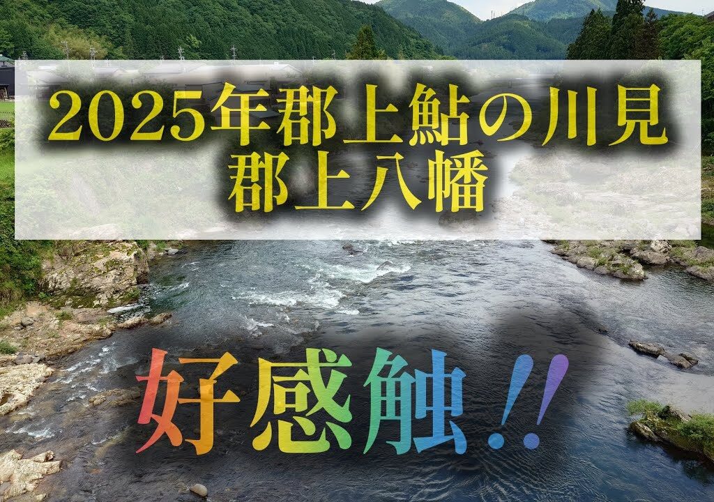 ２０２５年郡上鮎の川見　郡上八幡　好感触‼️