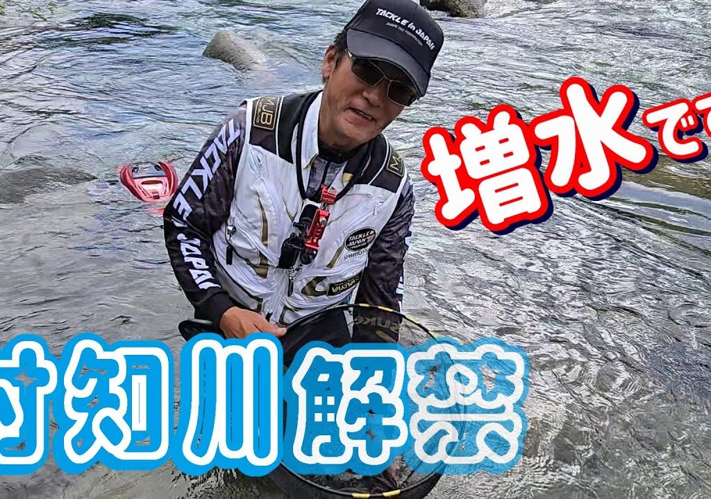 【付知川アユ解禁】増水！アユは・・・