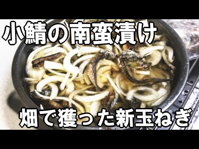 釣ったコサバと畑の玉ねぎで作る美味しい南蛮漬け！南高梅とサクランボと花摘みを満喫しました