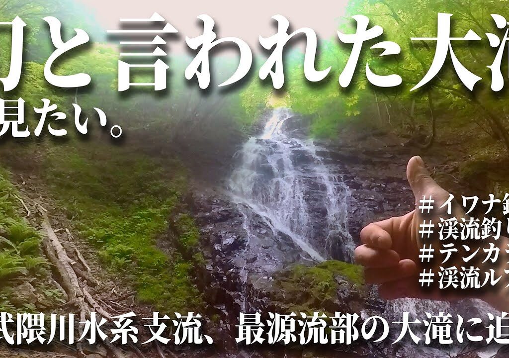 【渓流釣り】まるで釣り堀！？多くの砂防ダムを抱える阿武隈川支流の渓は渓流魚の楽園だった！
