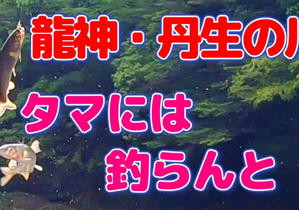 【鮎釣り】状況悪し。でも何とかせねば後が無い!!