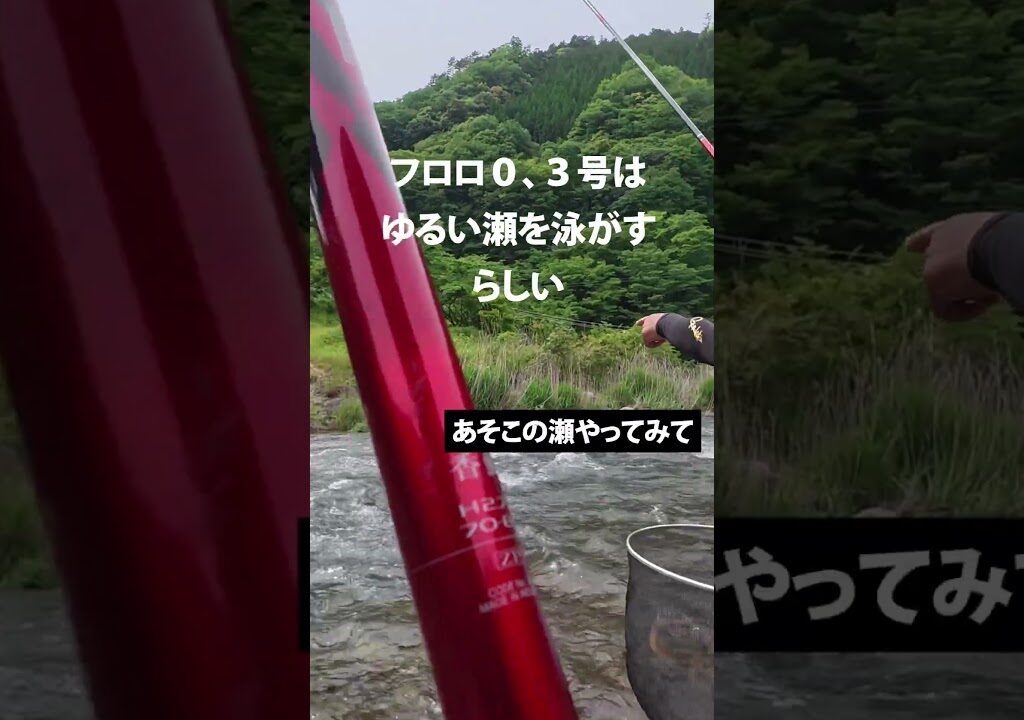 【鮎釣り】がまかつのフィールドテスターに遭遇！神対応すぎた！#鮎釣り #釣り 釣り女子