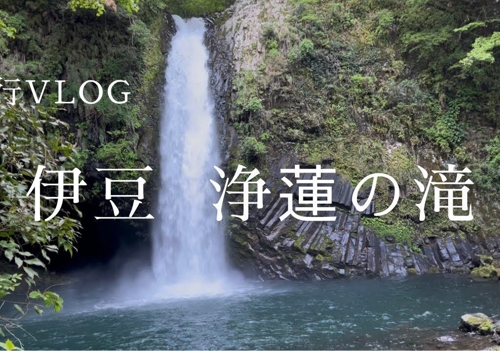 【vlog?】無計画で伊豆・横浜・港区(芝公園)を巡る