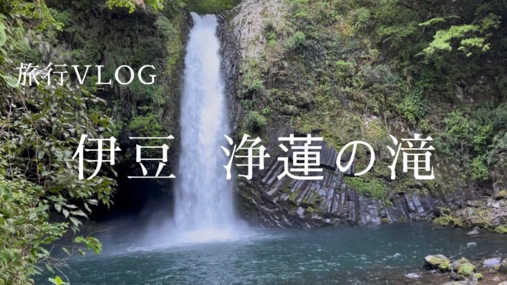 【vlog?】無計画で伊豆・横浜・港区(芝公園)を巡る