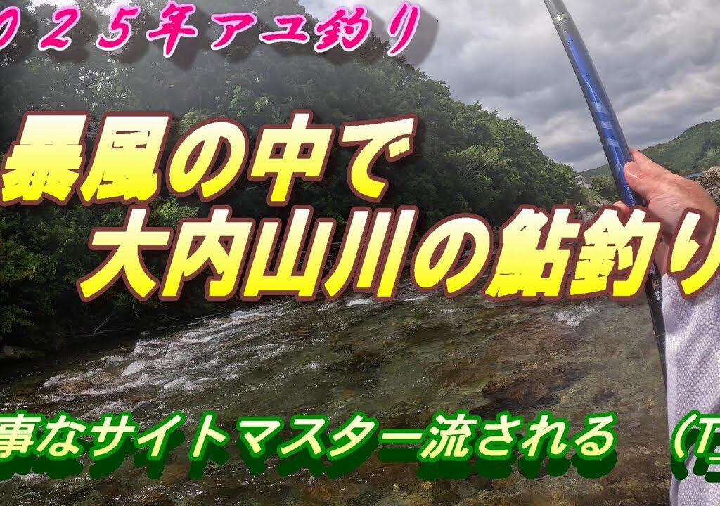 【大内山川で鮎釣り】暴風で大苦戦！ショックな出来事が有りました。＃鮎釣り＃大内山川 0